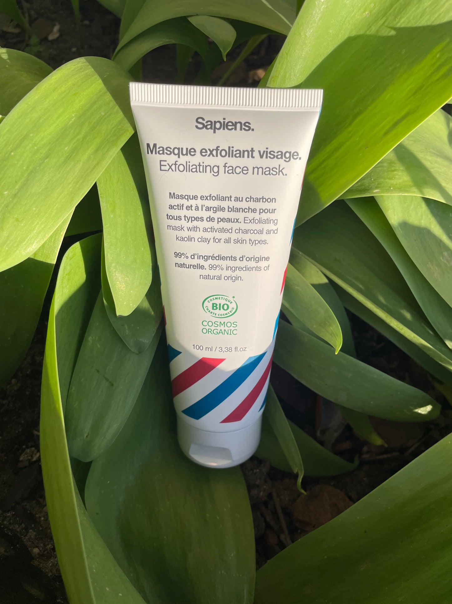 Masque exfoliant visage BIO SAPIENS