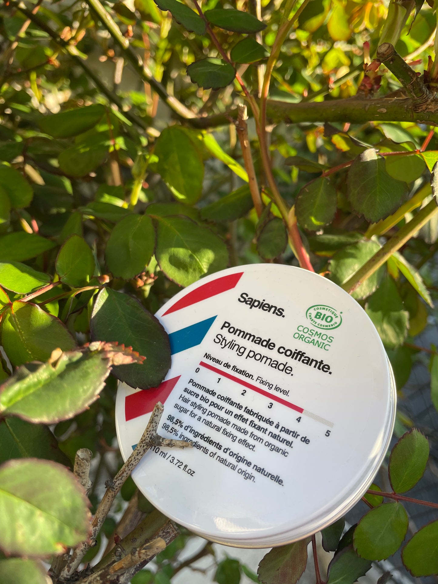 Pommade coiffante BIO SAPIENS