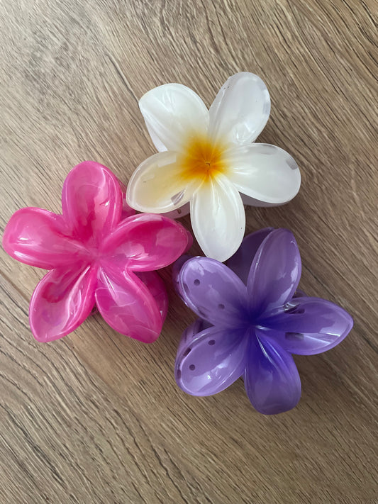 Pinces fleurs  hawaïenne