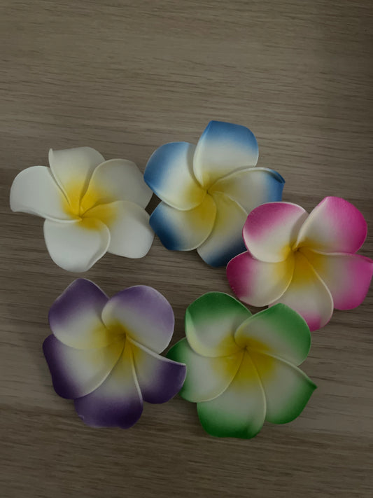 Barrettes  fleurs