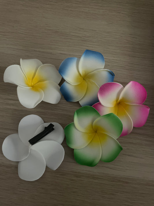 Barrettes  fleurs