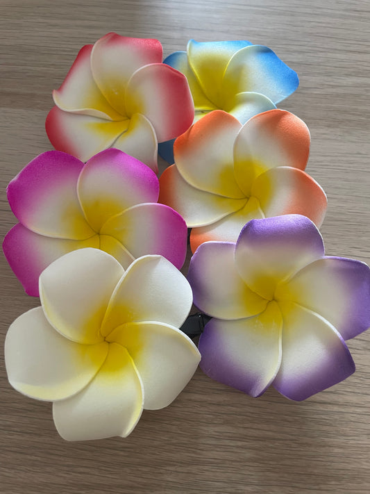 pinces fleurs