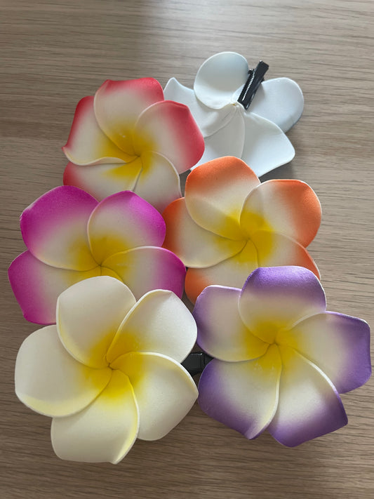 pinces fleurs